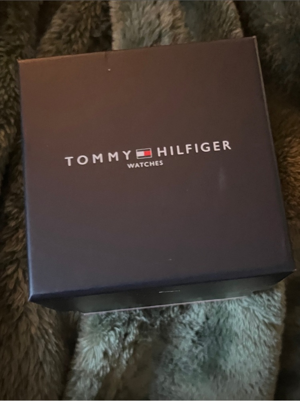 Tommy Hilfiger Navy Watch Box with Logo